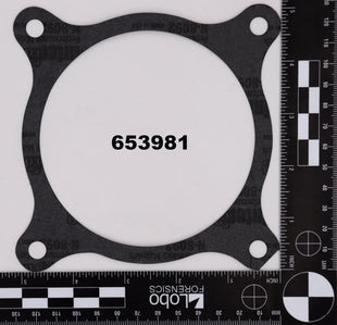 653981