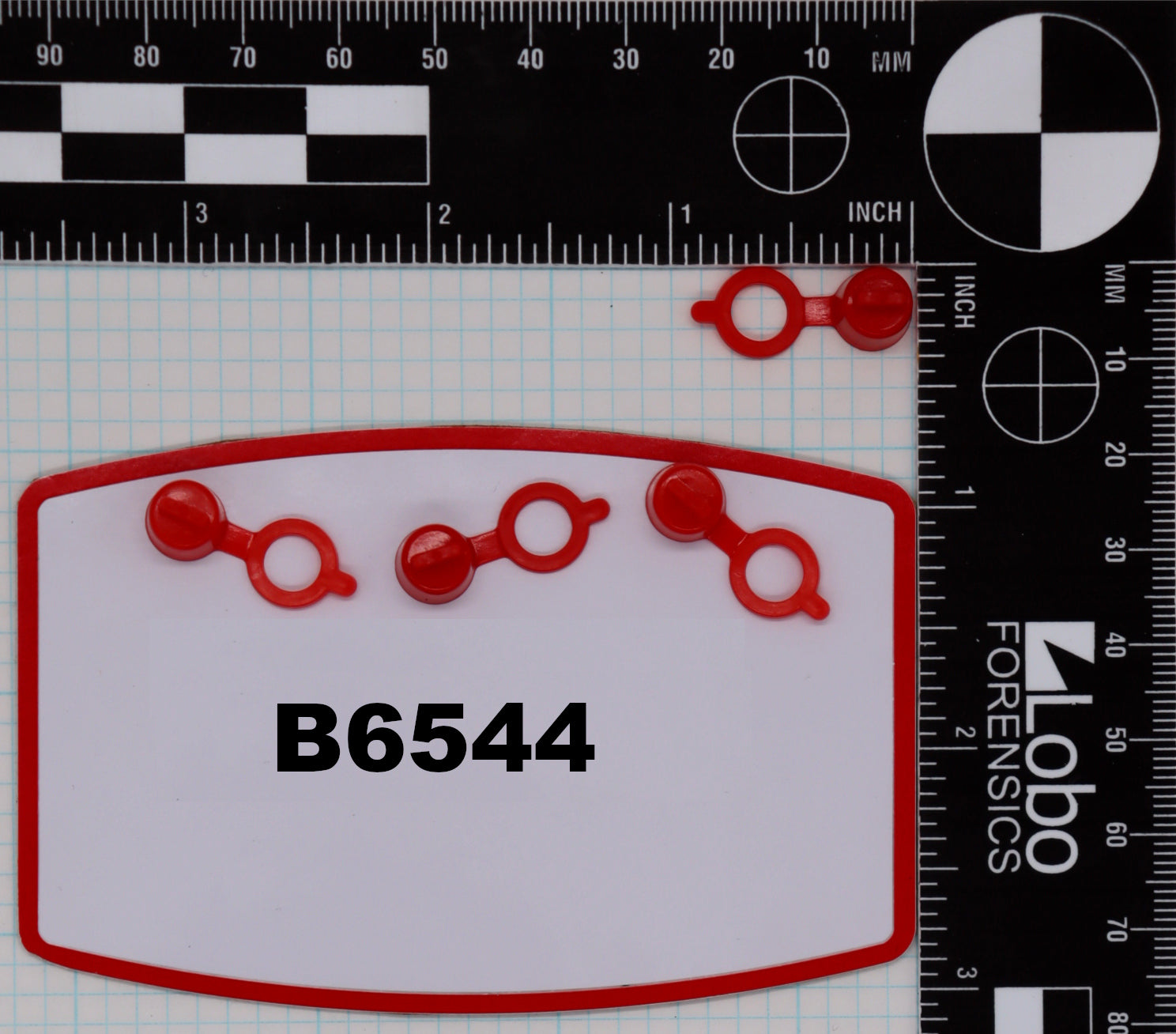B6544