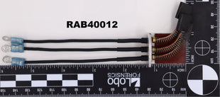 RAB40012