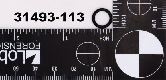 31493-113