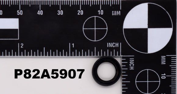 P82A5907