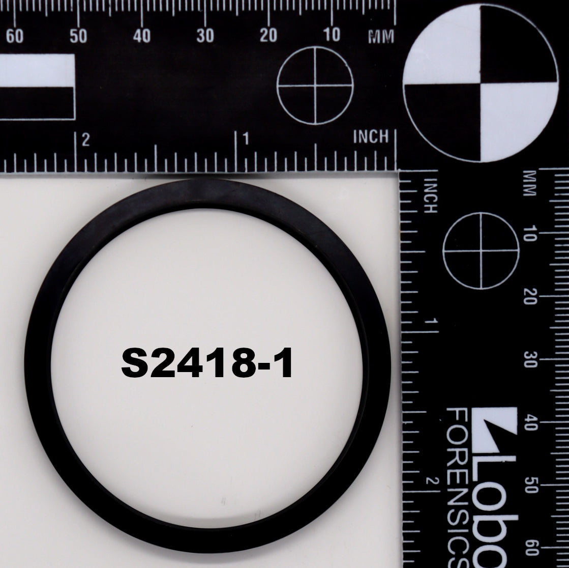 S2418-1