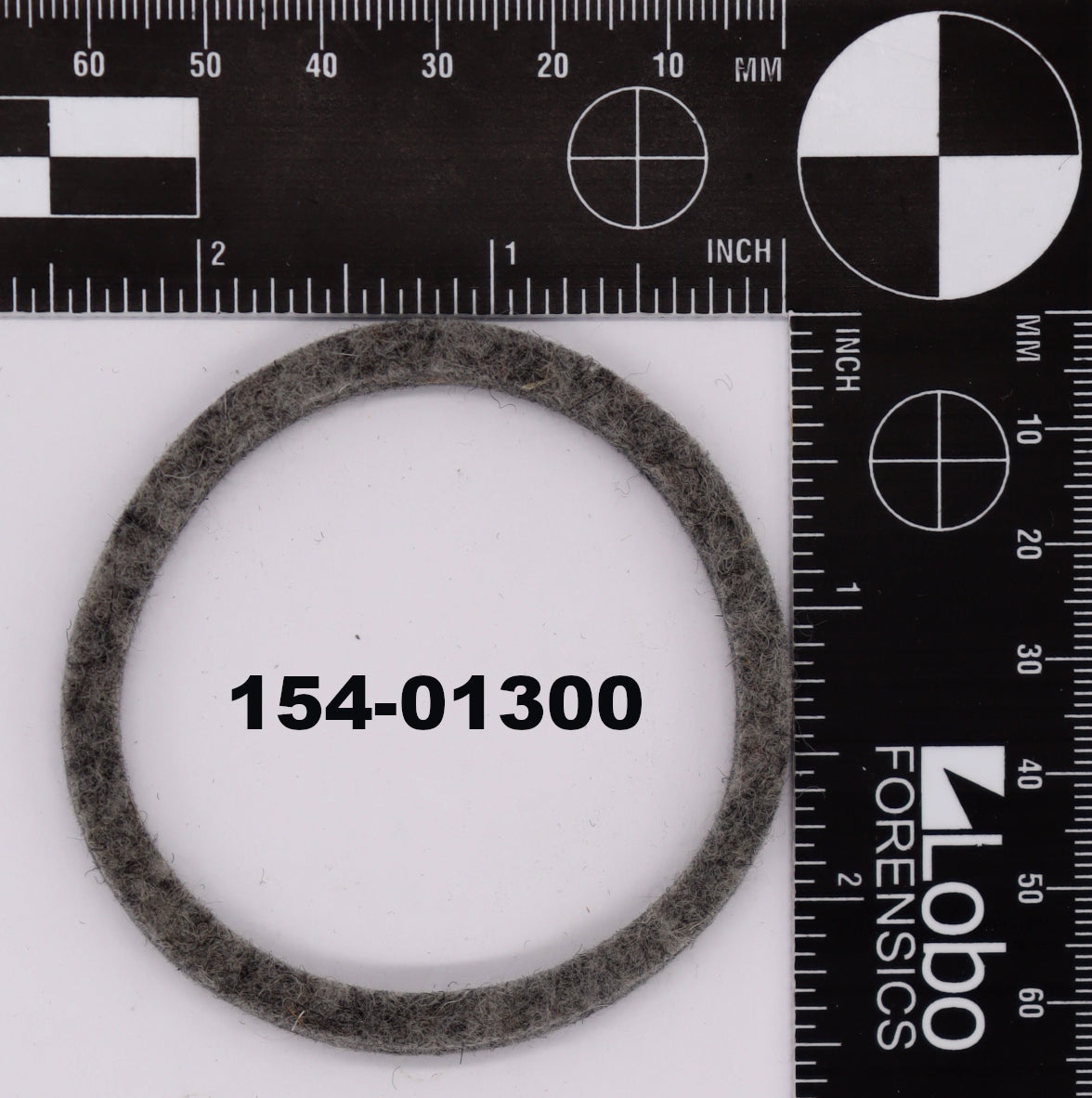 154-01300
